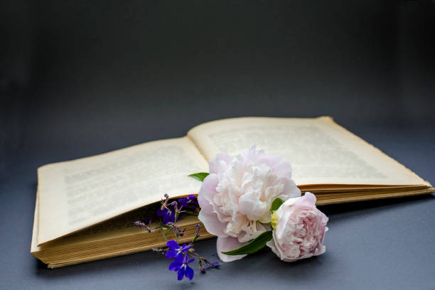 istock Poeny flower in the old book 819894874