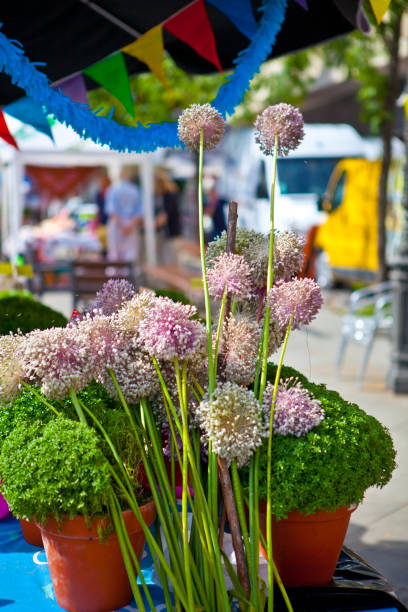 istock Basil and Garlic in Porto Feast 819897878