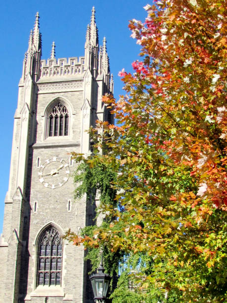 istock Toronto University Soldiers Tower 2015 819902544