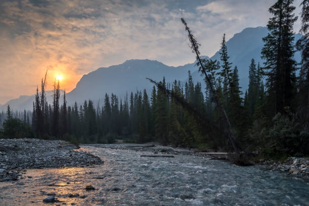 istock Forest Fire Sunrise in Kootenay National Park 819903186