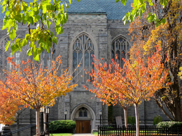 istock Toronto University Trinity College autumn trees 2016 819903600