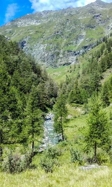 istock Antrona Valley - Piana Ronchelli 819905414