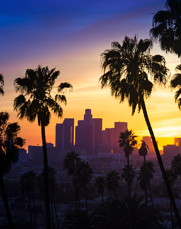 A stock photo of Downtown Los Angeles, California. Perfect for designs or articles about Los Angeles, Hollywood or Beverly Hills