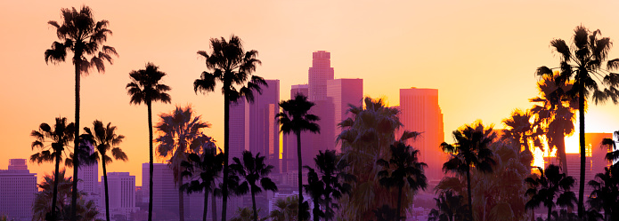 A stock photo of Downtown Los Angeles, California. Perfect for designs or articles about Los Angeles, Hollywood or Beverly Hills
