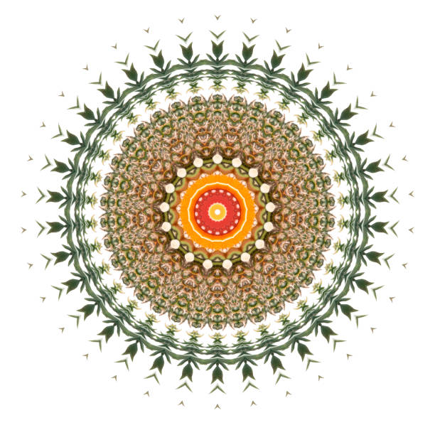 Abstract ornamental pattern as a symmetrical background from tropical fruits.