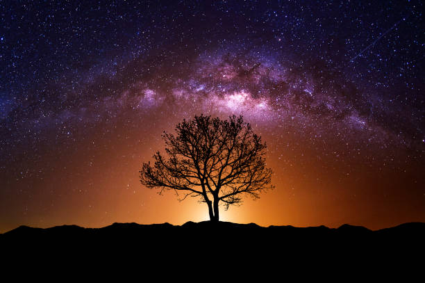 istock Night scene with Milky Way and old tree 819924156