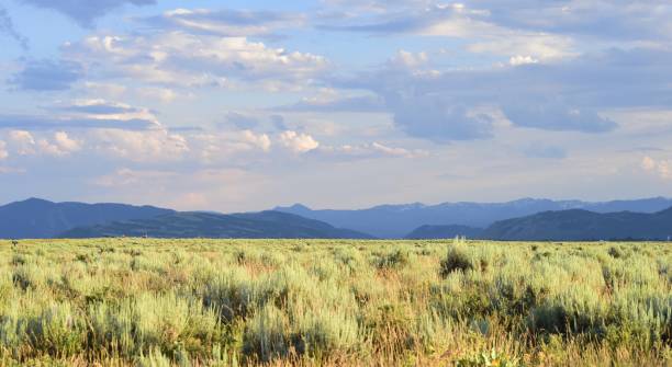 istock Grand Teton National Park 819934476
