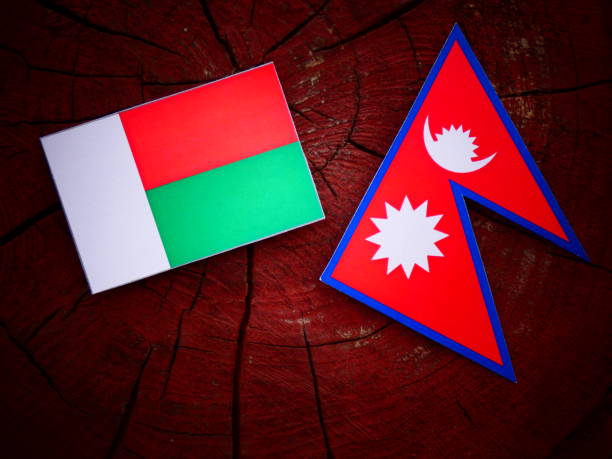 istock Madagascar flag with Nepali flag on a tree stump isolated 819937986