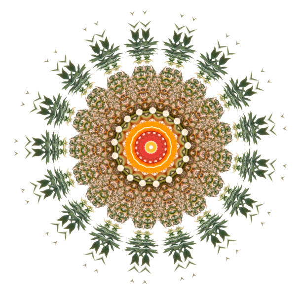 istock Abstract ornamental pattern from tropical fruits 819949666