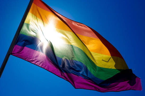 istock Rainbow flag waiving in the wind with sun shining through it 819953194