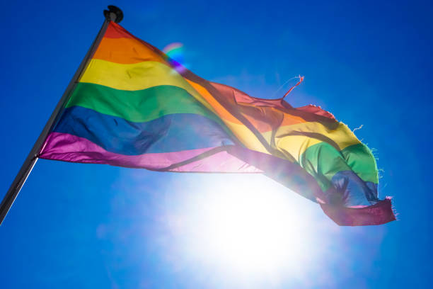 istock Rainbow flag waiving in the wind with sun shining through it 819953246