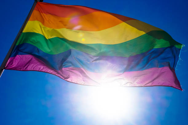 istock Rainbow flag waiving in the wind with sun shining through it 819953290