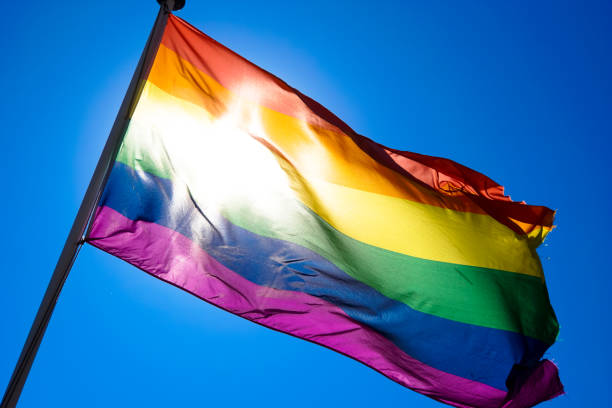 istock Rainbow flag waiving in the wind with sun shining through it 819953296