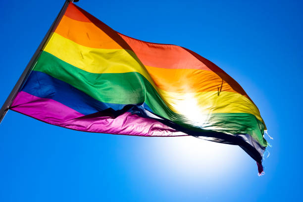istock Rainbow flag waiving in the wind with sun shining through it 819953316