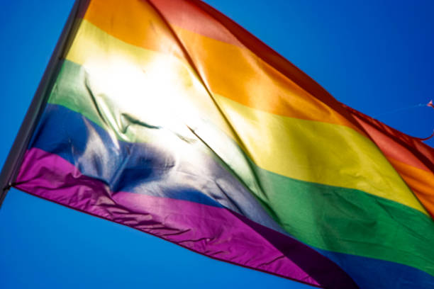 istock Rainbow flag waiving in the wind with sun shining through it 819953320
