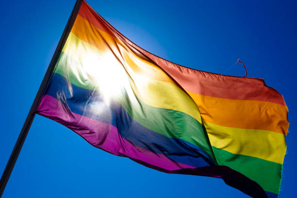 istock Rainbow flag waiving in the wind with sun shining through it 819953350