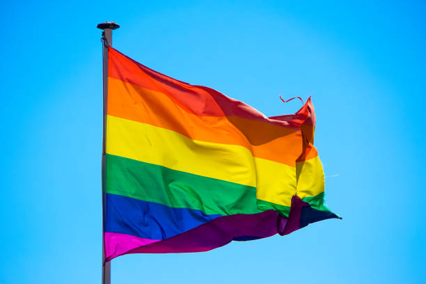 istock Rainbow flag waiving in the wind 819953410