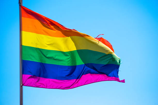 istock Rainbow flag waiving in the wind 819953444