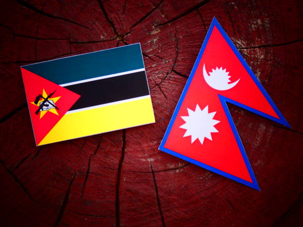 istock Mozambique flag with Nepali flag on a tree stump isolated 819958616