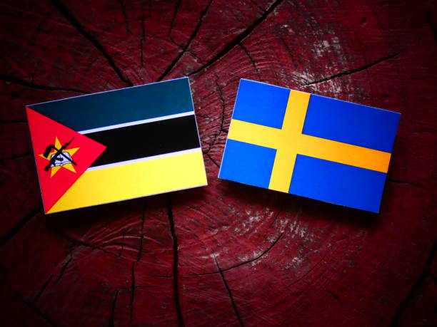 istock Mozambique flag with Swedish flag on a tree stump isolated 819958774