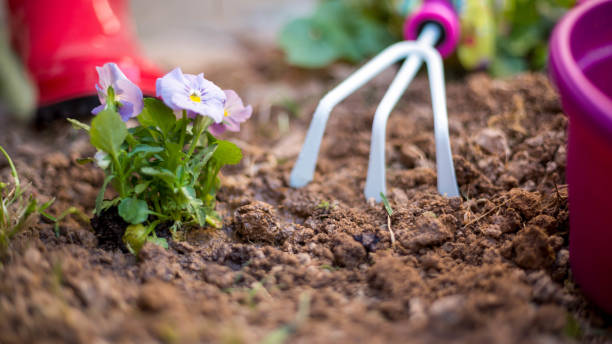 istock Young woman gardening 819964978