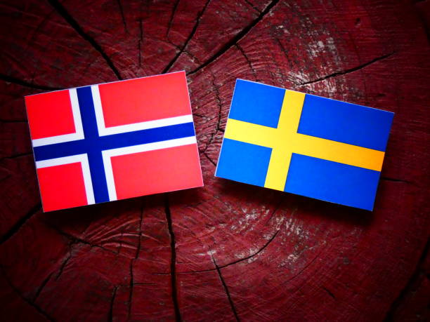 istock Norwegian flag with Swedish flag on a tree stump isolated 819964998