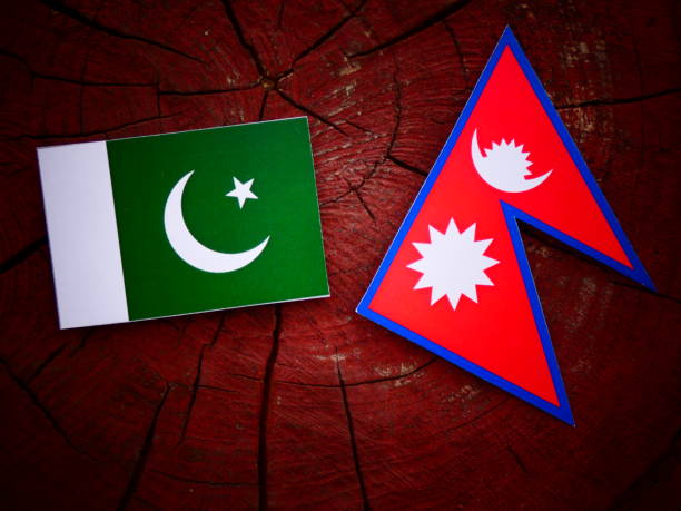 istock Pakistani flag with Nepali flag on a tree stump isolated 819970304