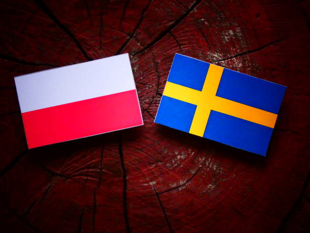 istock Polish flag with Swedish flag on a tree stump isolated 819974076