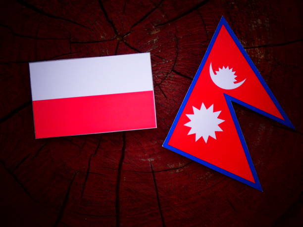 istock Polish flag with Nepali flag on a tree stump isolated 819974112
