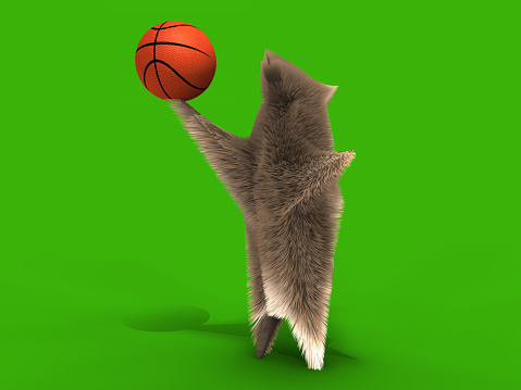 Cute mouse is playing basketball.