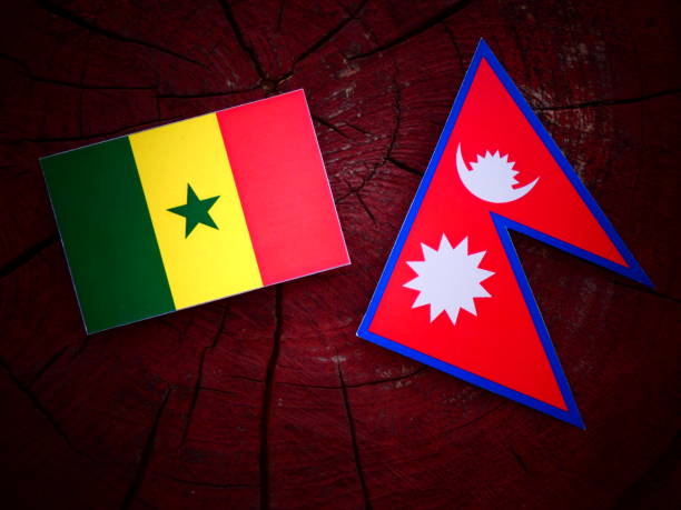 istock Senegal flag with Nepali flag on a tree stump isolated 819983252