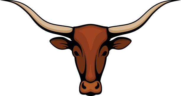 ロングホーンステアリング - texas longhorn cattle点のイラスト素材／クリップアート素材／マンガ素材／アイコン素材