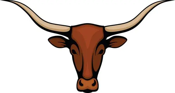 Vector illustration of Longhorn Steer