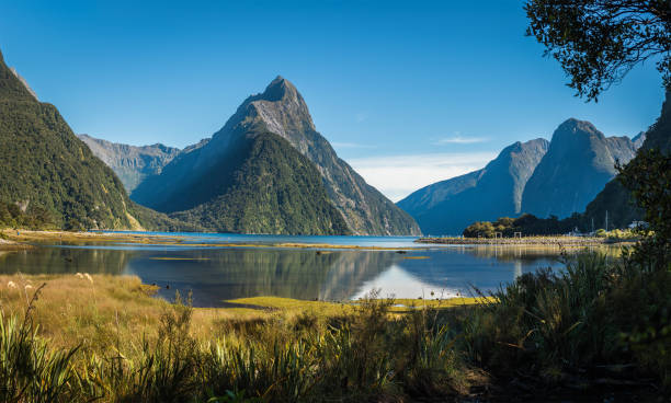 Milford Sound, South Island, New Zealand Sunny day in Milford Sound with Mitre peak in the centre of the image. Mitre peak is partly reflected in the water. fiordland national park photos stock pictures, royalty-free photos & images