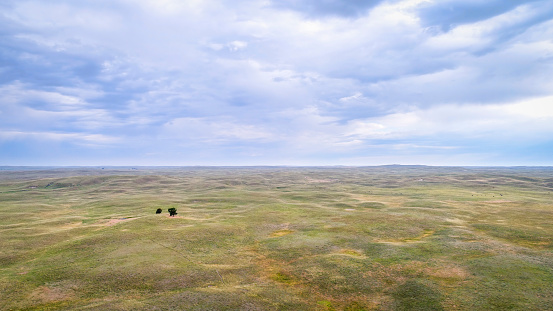 landscape of Nebraska Sandhills with two lonely trees, aerial view