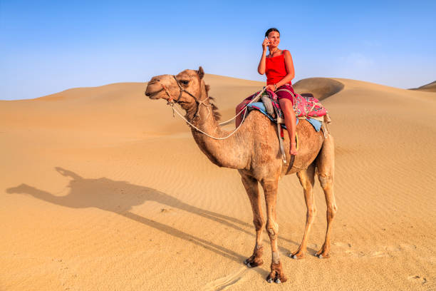 istock Young female tourist using mobile on a camel, Rajasthan, India 820054250