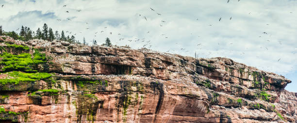 Travel and nature photography.