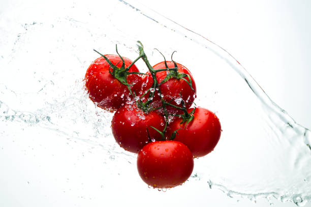 istock Red tomatoes on a branch with drops of water on a white background 820071166