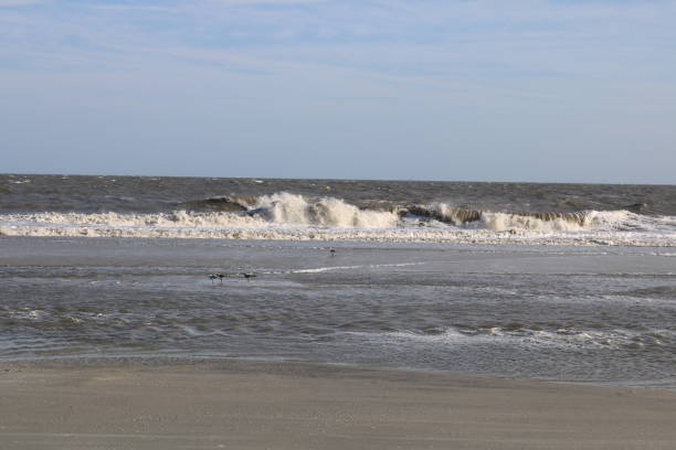 istock Hilton Head Island South Carolina 820091300