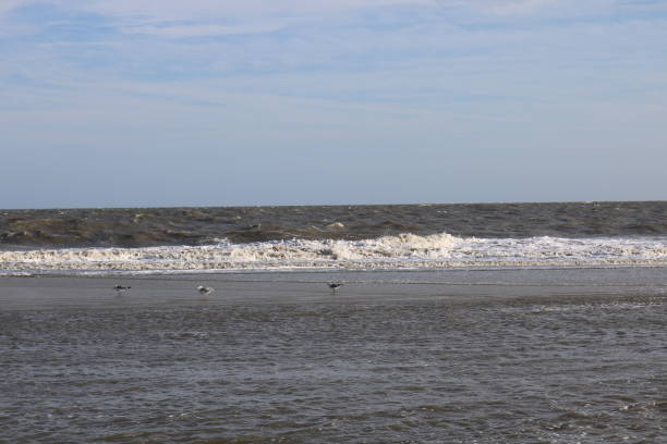 istock Hilton Head Island South Carolina 820091376