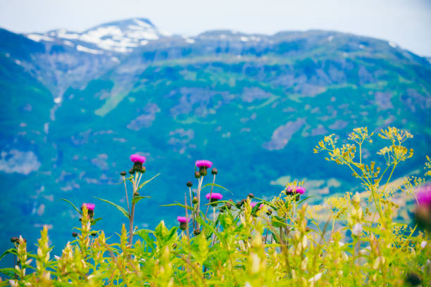 istock Mountains and fjord in Norway, 820115434