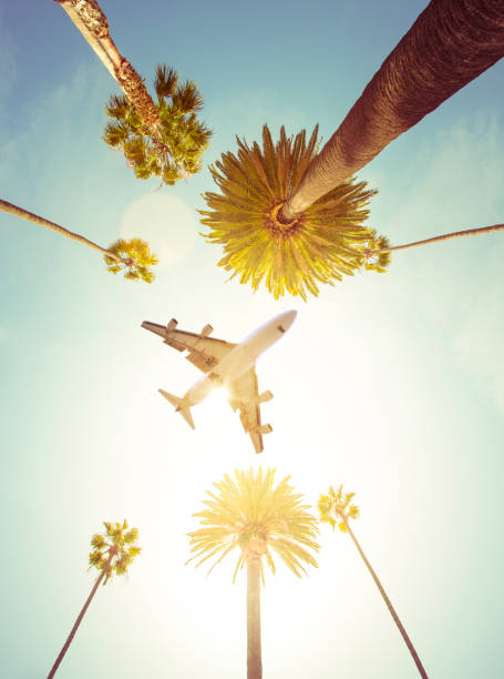 Plane over palm trees A stock photo of a plane flying high above some Palm Trees in the city of Los Angeles. Perfect for designs or articles about air travel, vacations or airplanes. hollywood california stock pictures, royalty-free photos & images