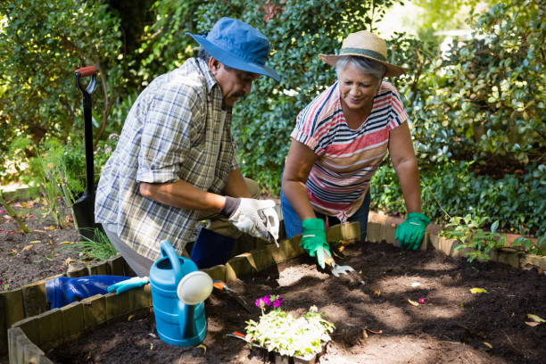 istock Couple planting young plant into the soil 820136162