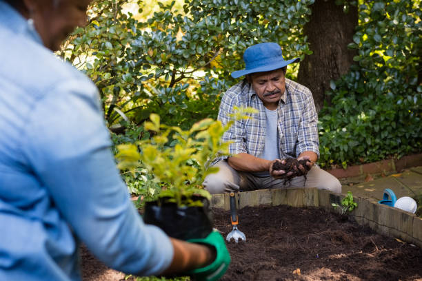 istock Couple planting young plant into the soil 820140644