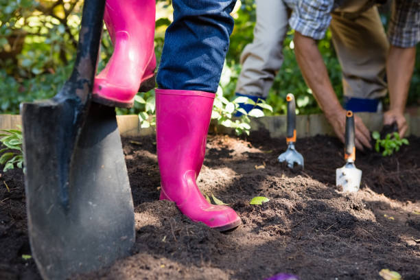 istock Senior man planting young plant into the soil 820140730