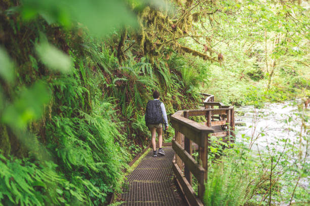 istock Ethnic woman hikes across footpath bridge next to river 820166748