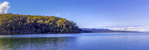 istock Landscape panorama of Wallagaraugh River and native Australian vegetation with copy space 820174110