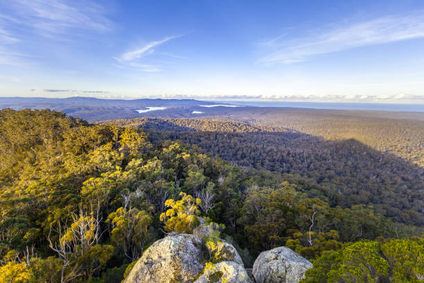 istock Croajingolong National Park, Australia 820174430