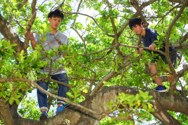 istock Young people enjoy the Parkour 820184234