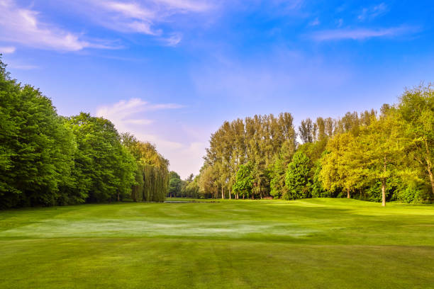 istock green grass field meadow. landscape panorama 820188920